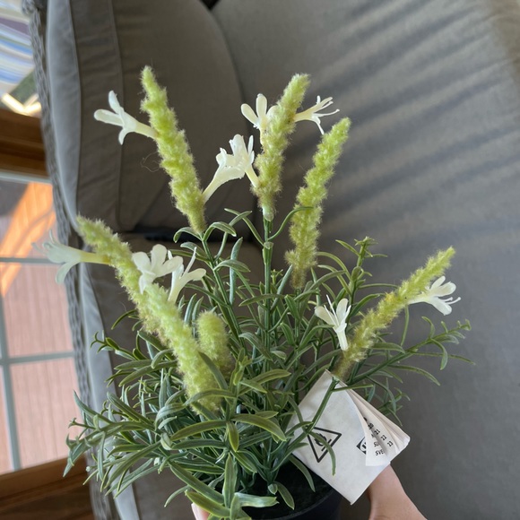 Fake ikea plant - Picture 2 of 4